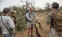 Tanda Tula - Timbavati - Kruger National Park