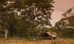 Tanda Tula - Timbavati - Kruger National Park