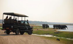 Chobe_under_canvas_gamedrive1.jpg