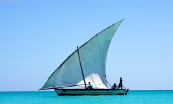 Vamizi-Island-Activities-Dhow-Cruise.jpg