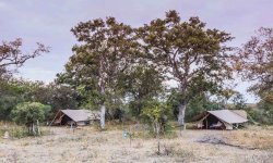 Tanda Tula - Timbavati - Kruger National Park